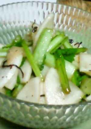 まるごとカブでお漬物風サラダ-レシピのメイン写真