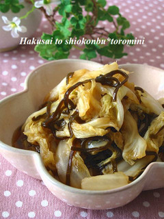 白菜と塩昆布のとろみ煮♪-レシピのメイン写真