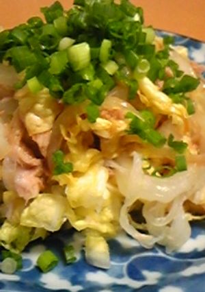 タレがうまい♪青ねぎたっぷり白菜サラダ-レシピのメイン写真