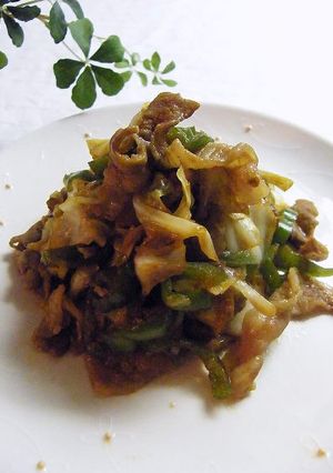 豚肉とキャベツの味噌炒め-レシピのメイン写真