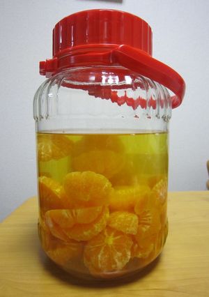 適当だけどおいしい♪みかんの果実酒-レシピのメイン写真