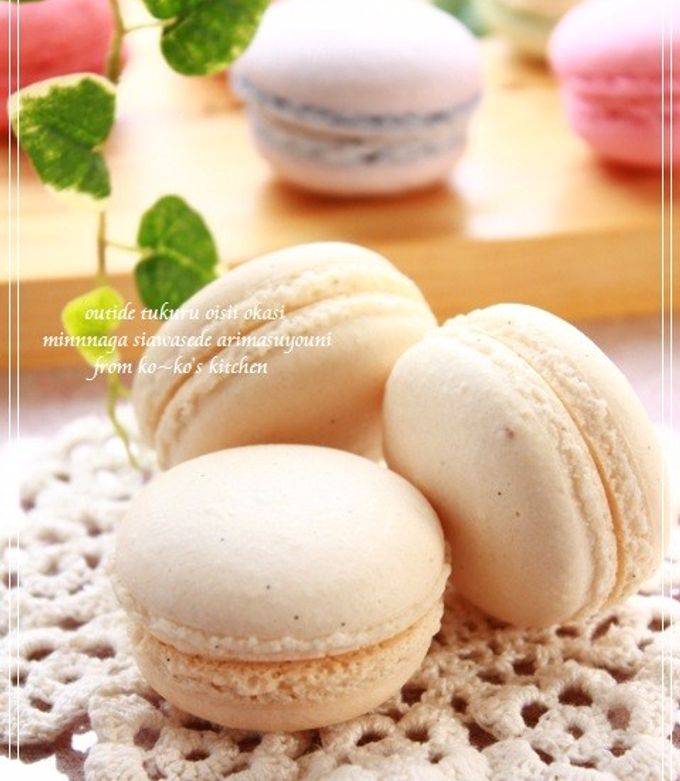 バニラマカロンさま専用 VA_1040-1040_2_1000x.jpg?v=