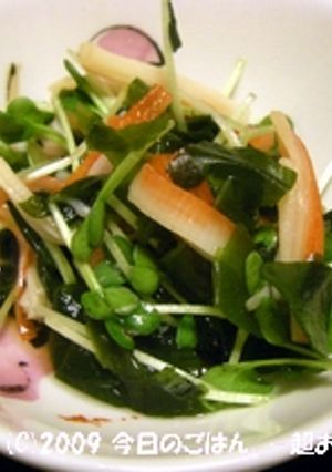 わかめ・カイワレ･カニカマのお手軽酢の物-レシピのメイン写真