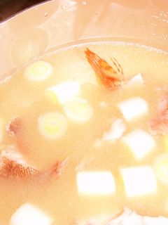 カサゴの味噌汁-レシピのメイン写真