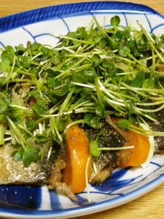 鰯と柿のマリネ-レシピのメイン写真