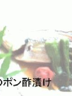 鯵のポン酢漬け-レシピのメイン写真
