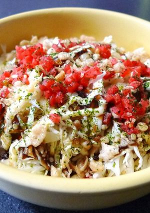 気分はお好み焼き丼♪-レシピのメイン写真