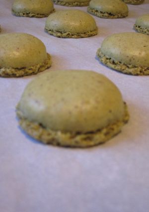 ローズ家の抹茶マカロン-レシピのメイン写真