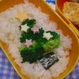 ブロッコリーdeクリスマスツリーのお弁当