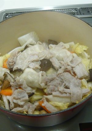 調味料は塩だけ!白菜と豚肉のとろとろ煮。-レシピのメイン写真