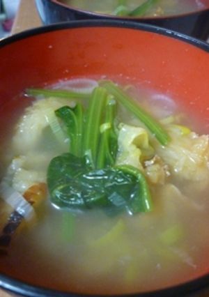 お肌すべすべ♥プゴク（ほうれん草+ネギ）-レシピのメイン写真