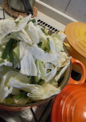 野菜を食べたいときのモツ鍋！-レシピのメイン写真