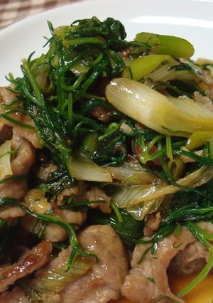 ご飯が進む！おかひじきの中華風炒め-レシピのメイン写真