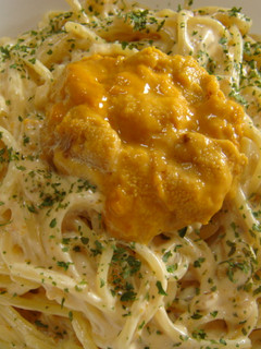 うにの濃厚パスタ-レシピのメイン写真