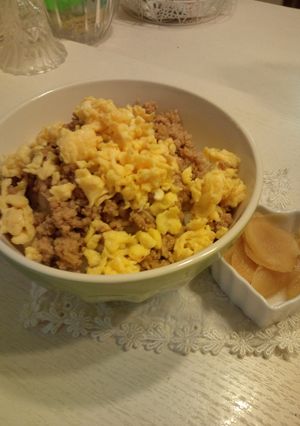 野菜も摂ります鶏そぼろ丼☆-レシピのメイン写真