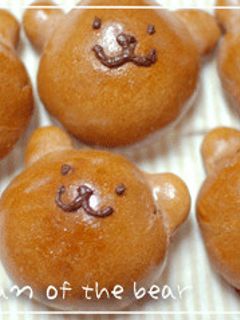 HB天然酵母でクマのチョコパン-レシピのメイン写真