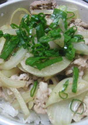 我が家の牛丼♪♪-レシピのメイン写真