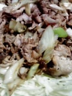 豚こま肉と長ねぎの中華炒め-レシピのメイン写真