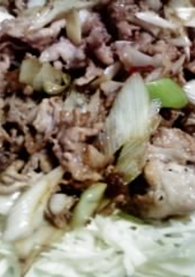豚こま肉と長ねぎの中華炒め-レシピのメイン写真