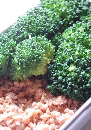 ◇◆大人のシャレ弁★ジャングル弁当◆◇-レシピのメイン写真