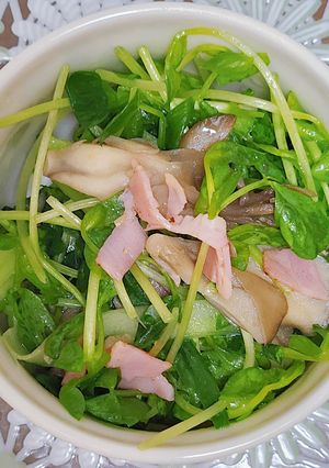 豆苗サラダ-レシピのメイン写真