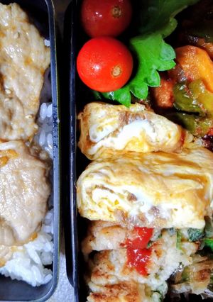 本日のお弁当♪8/24-レシピのメイン写真