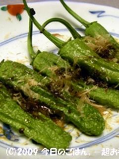 焼きししとう 超シンプルなおつまみ♪-レシピのメイン写真