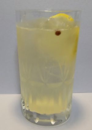 赤山椒・レモン・塩の焼酎カクテル-レシピのメイン写真