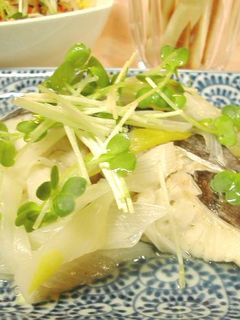 フライパンにおまかせ☆葱とサワラの酒蒸し-レシピのメイン写真