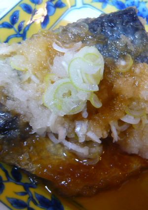鯖のおろし煮-レシピのメイン写真