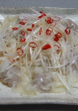 ピリ辛ねぎワンタン-レシピのメイン写真