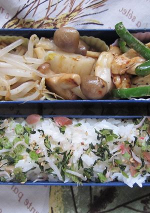 毎日のお弁当 2009/12/10-レシピのメイン写真