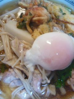 かき揚げ温卵うどん-レシピのメイン写真