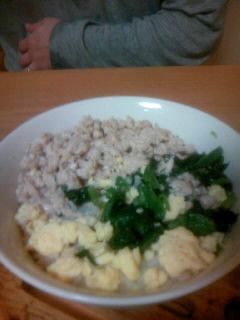 三色そぼろ丼-レシピのメイン写真