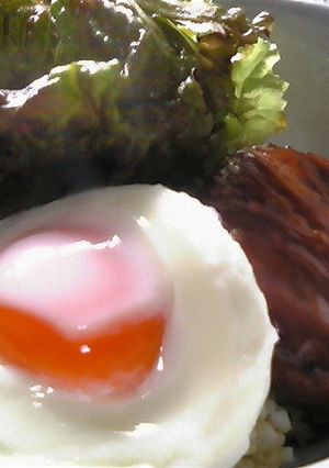 カフェ風★バーグ丼-レシピのメイン写真