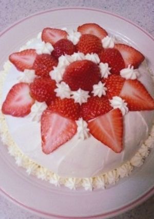 ズコットケーキのデコレーション-レシピのメイン写真
