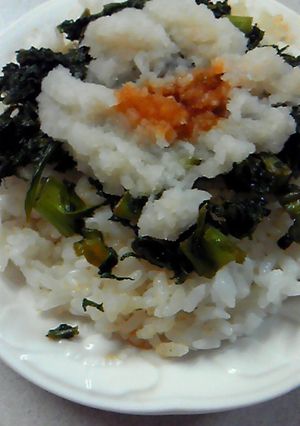 わさび菜佃煮のせご飯-レシピのメイン写真