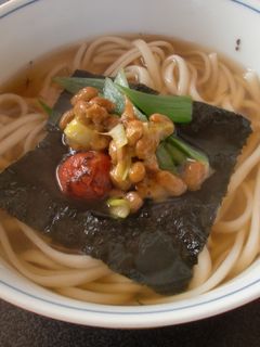 極と梅干しのさっぱりうどん-レシピのメイン写真