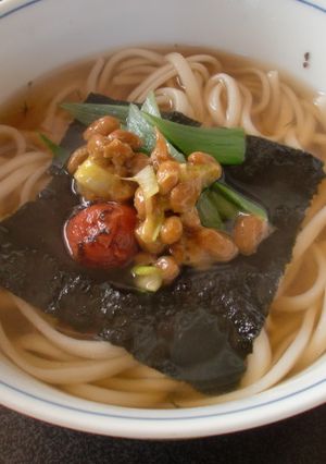 極と梅干しのさっぱりうどん-レシピのメイン写真