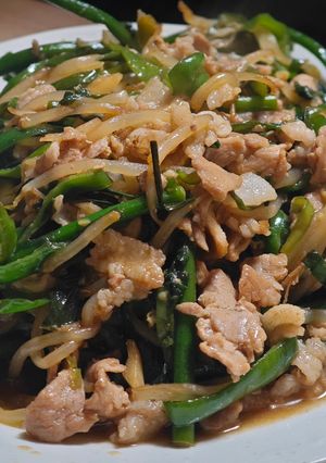 豚肉の野菜炒め-レシピのメイン写真