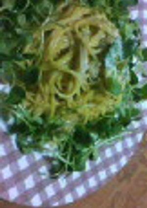 おいしい簡単 洋風パスタ〜-レシピのメイン写真