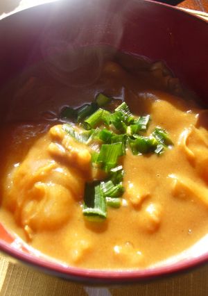 カレーうどんをもちにチェンジ！カレー雑煮-レシピのメイン写真