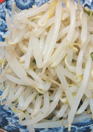 梅こぶ茶でさっぱり☆もやしのおひたし-レシピのメイン写真