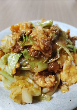 卵と野菜のホイコーロー風※簡単冷蔵庫整理-レシピのメイン写真