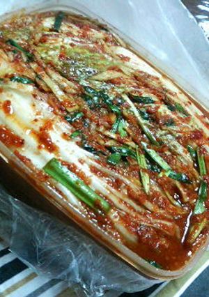 白菜のキムチ-レシピのメイン写真
