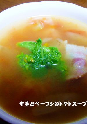牛蒡とベーコンのトマトスープ-レシピのメイン写真