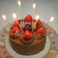 5号ケーキに乗せた場合 アニバーサリーケーキ5号 ロウソクつき 6台 業務用ホールケーキ