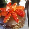 クリスマス&バレンタインにチョコケーキ