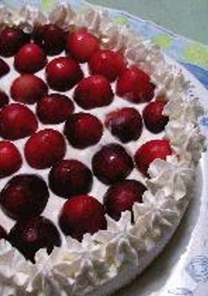 完熟サクランボのヨーグルトムースケーキ♪-レシピのメイン写真
