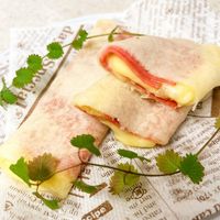 基本からアレンジまで！思わずつくりたくなる「はるまきの皮 ブリトー